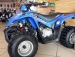 Kymco
 MAXXER