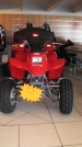 Honda
 : TRX 250