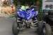 Yamaha
 : RAPTOR