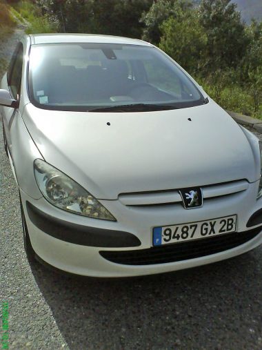 PEUGEOT 307