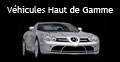 exclusive cars prestige UZES